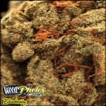 Blueberry Medical Marijuana Strain Review And Pics