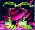 Two Marijuana Competitions - Two Different Results