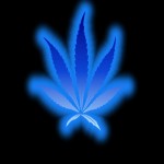 Arizona Senate Approves Medical Marijuana Tax
