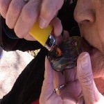 Maryland Considers Government Operated Dispensaries