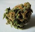 Medical Marijuana Coming To Kansas?