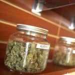 Marijuana Dispensaries Jar Marijuana Dispensaries Jar