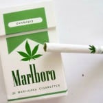 Stoner Friendly Links 9/28/10