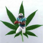 One Third of NFL Rookies Use Marijuana?