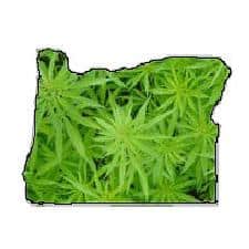 Oregon marijuana Oregon marijuana