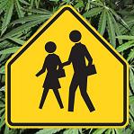 Anti-Medical Marijuana Propaganda Sent Home With Elementary School Children