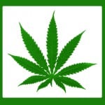 Simple Marijuana