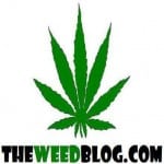Booming Times for Online Marijuana Media Outlets