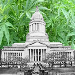 Washington D.C. Votes on Medical Marijuana Today