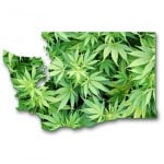 Washington State Marijuana Washington State Marijuana
