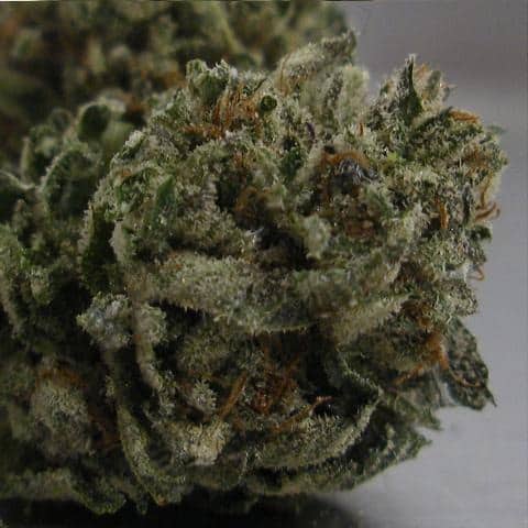 I think a be gram answers ounce of weed in bag. I think a be gram answers
