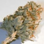 Stoner Friendly Links 2/28/11