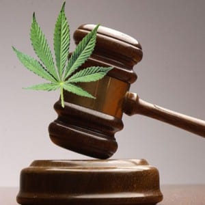 gavel marijuana