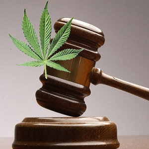 gavel cannabis