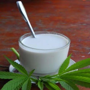 hemp milk hemp milk