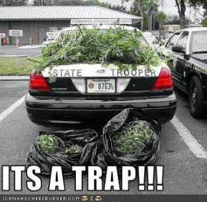 Its a trap! Its a trap!