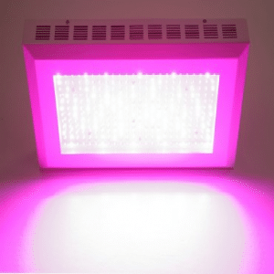led grow light