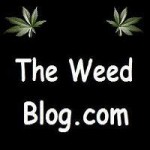 Saturday Stoner Comedy 1/23/10