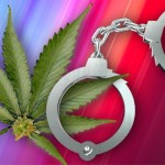 Marijuana and The Law