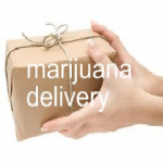 TWB Interview: Medical MJ Delivery Means Business