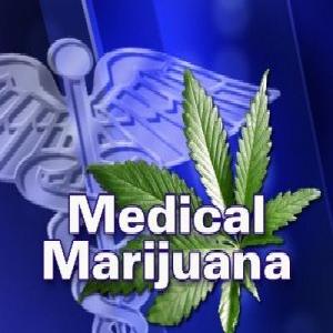 medical marijuana medical marijuana blog