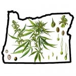Oregon House Bill 3664 Would Be A Disaster For The Oregon Medical Marijuana Program