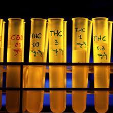 marijuana science cannabis science