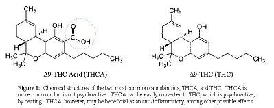 thca-to-thc thca to thc