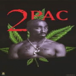 Young Outlawz Say They Smoked Tupac's Ashes With California Marijuana