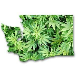 washington-state-medical-marijuana.jpg