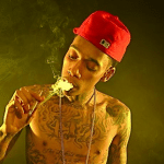 Wiz Khalifa Loves Weed Like A Fat Kid Loves Cake