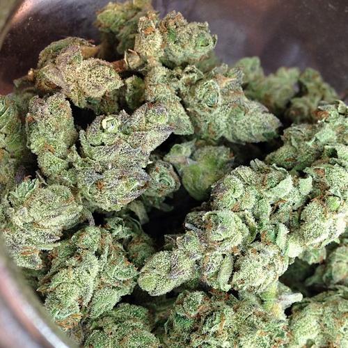 Blue Cheese Marijuana Strain Review And Pictures The Weed Blog