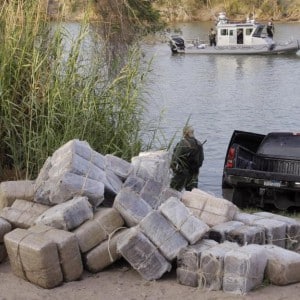 border patrol marijuana