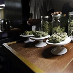 marijuana clubs washington