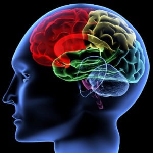 neuroscience marijuana