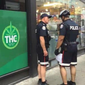 project claudia toronto medical marijuana raids