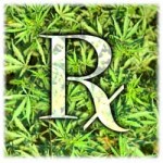 Connecticut Marijuana Bills Moving Towards Senate Vote | The Weed Blog