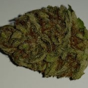 tj's white label