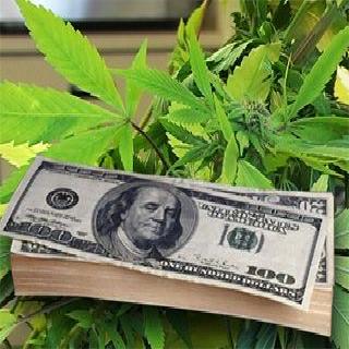 How Much Does A Quarter Ounce Of Weed Cost In Washington