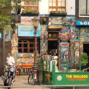 bulldog cannabis coffeeshop amsterdam bulldog marijuana amsterdam