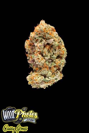 casey jones marijuana strain