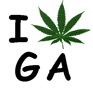 Image result for georgia marijuana