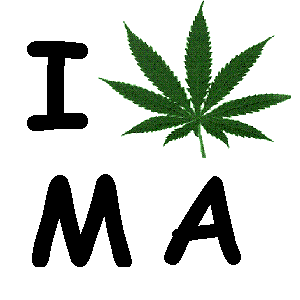Image result for massachusetts marijuana