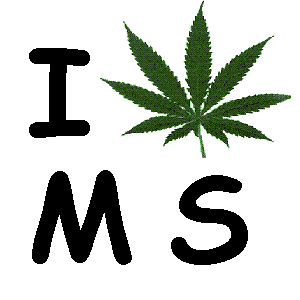 Image result for Mississippi marijuana