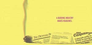 MJ media