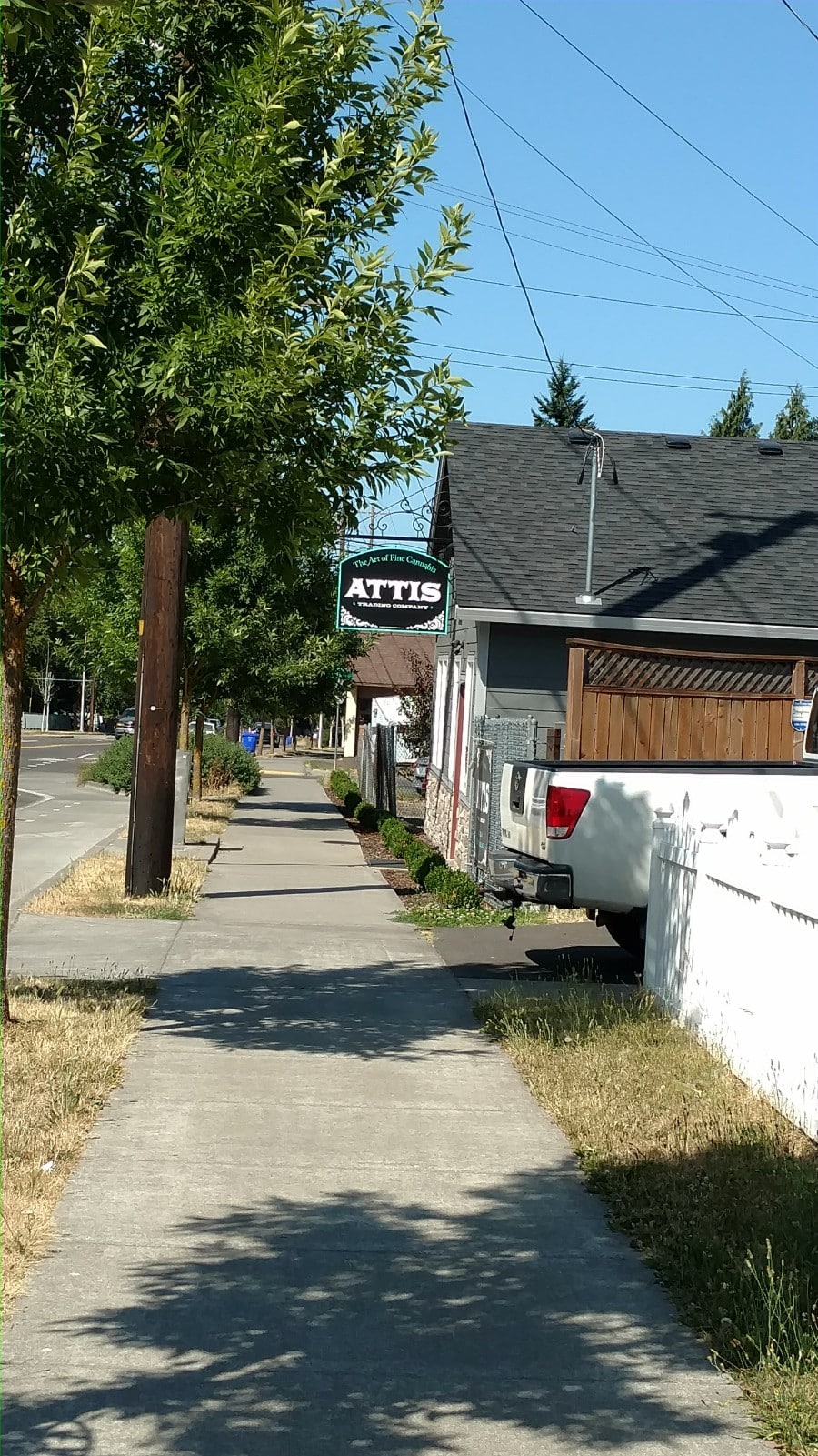 Attis Trading Company