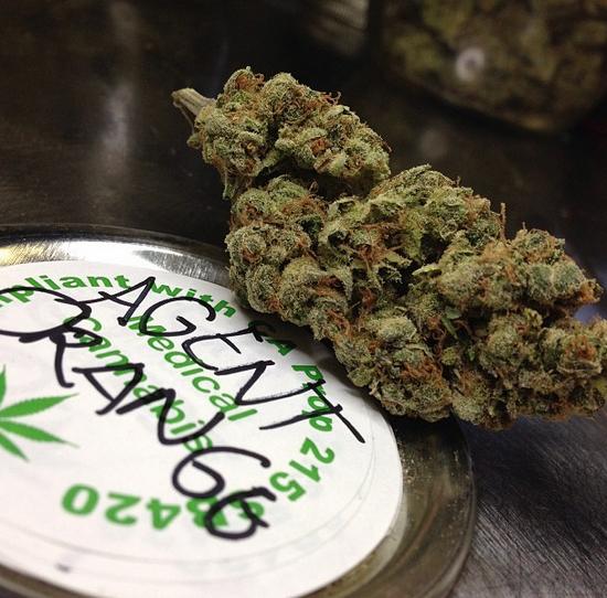 Agent Orange Marijuana Strain Review And Pictures The Weed Blog Agent Orange Marijuana Strain Review And Pictures The Weed Blog
