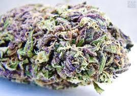 managing pain with marijuana