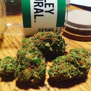 burmese kush, marley natural, marijuana strains