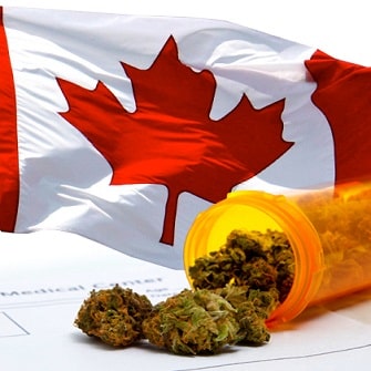 health canada cannabis industry